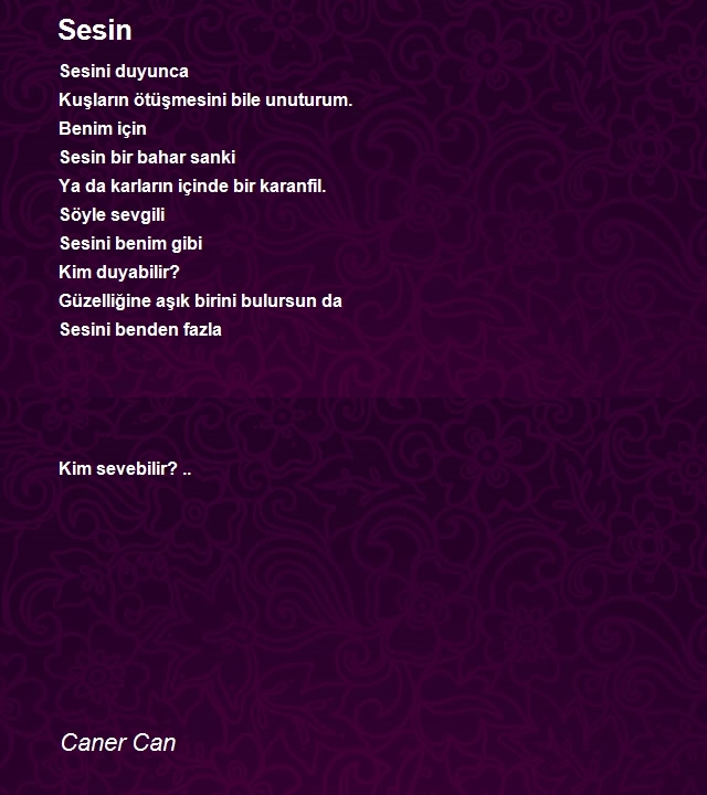 Caner Can