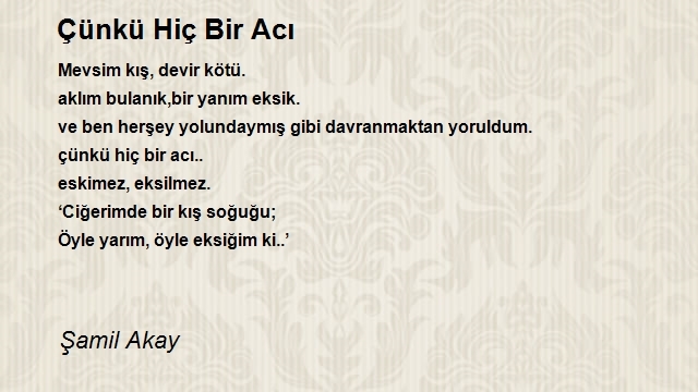 Şamil Akay