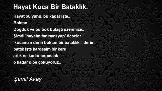 Şamil Akay