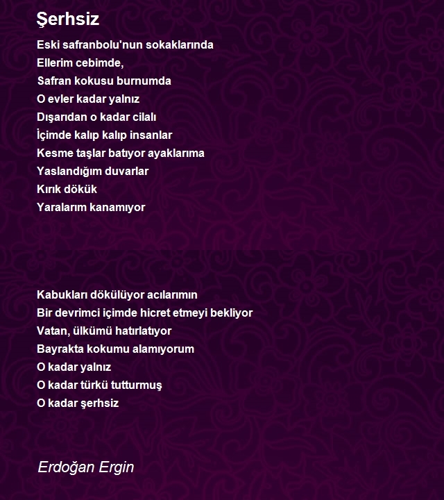 Erdoğan Ergin