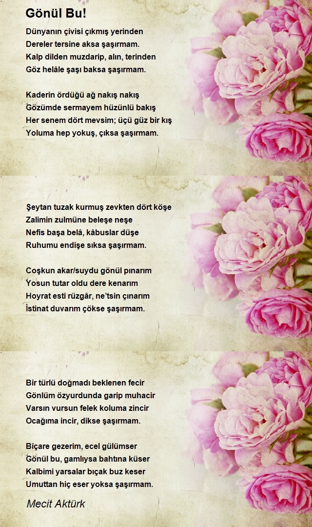 Mecit Aktürk