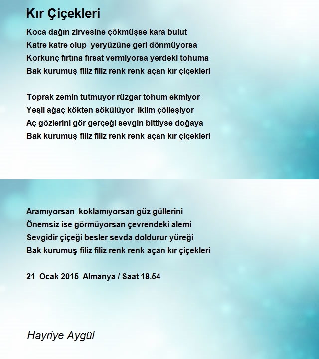Hayriye Aygül