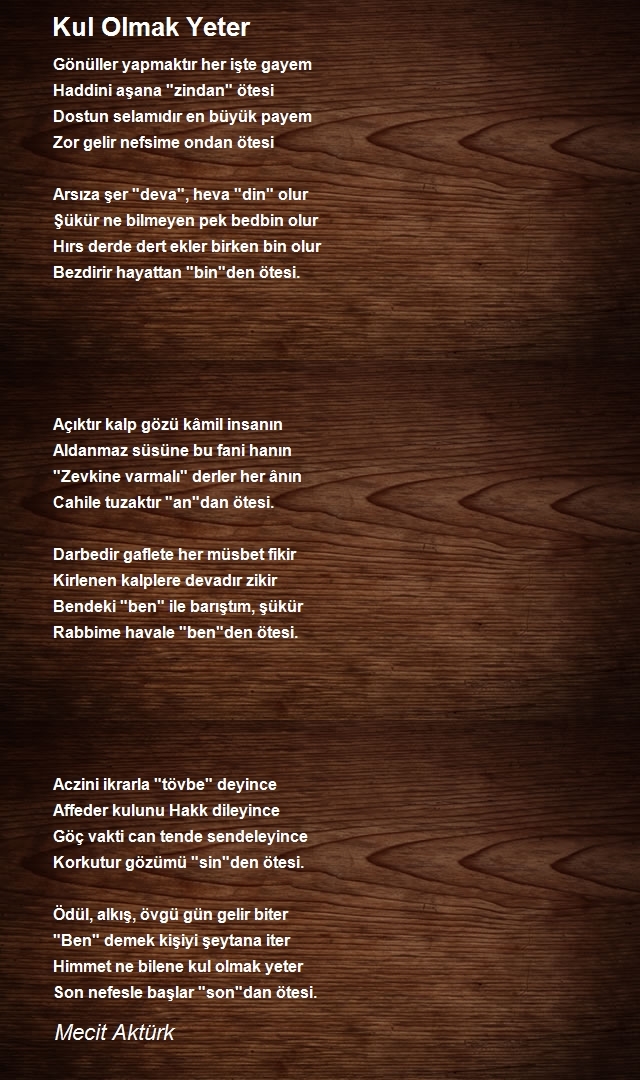 Mecit Aktürk