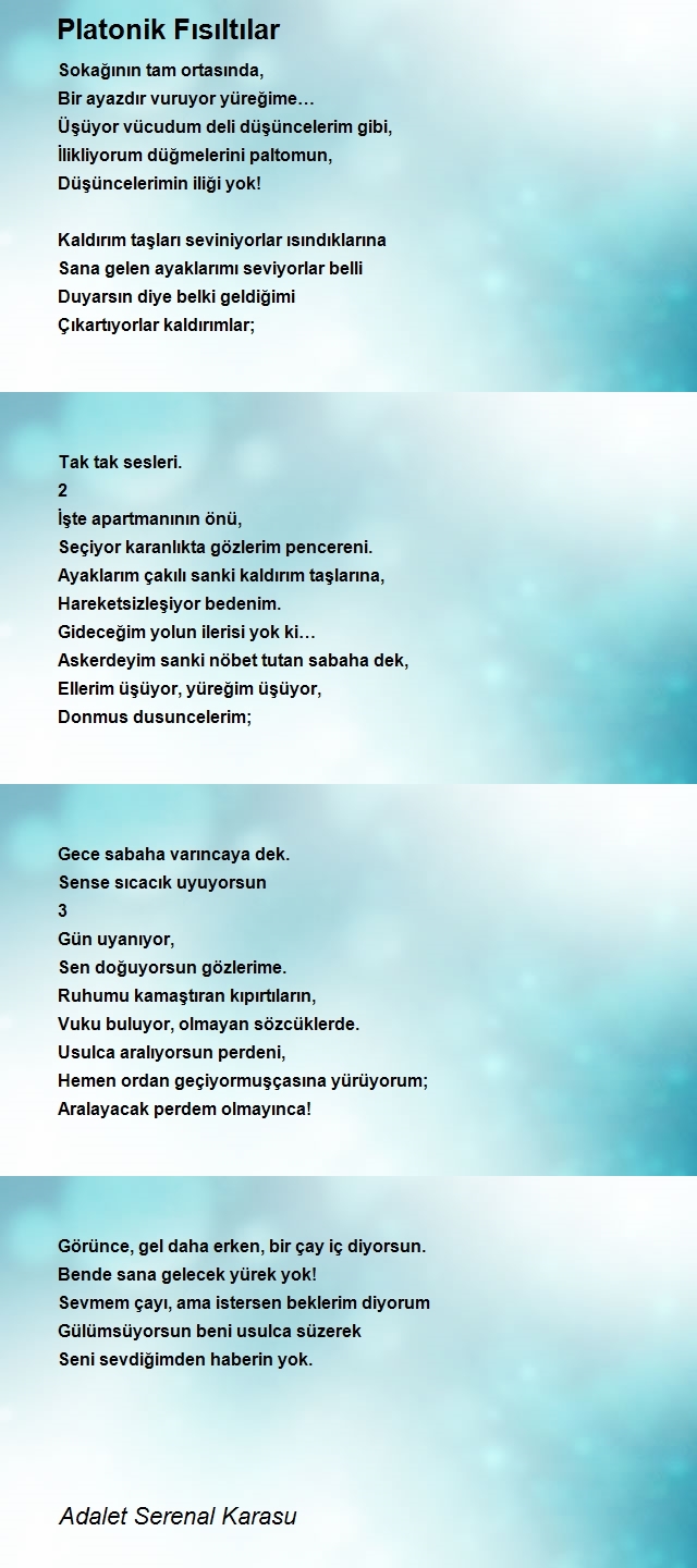 Adalet Serenal Karasu