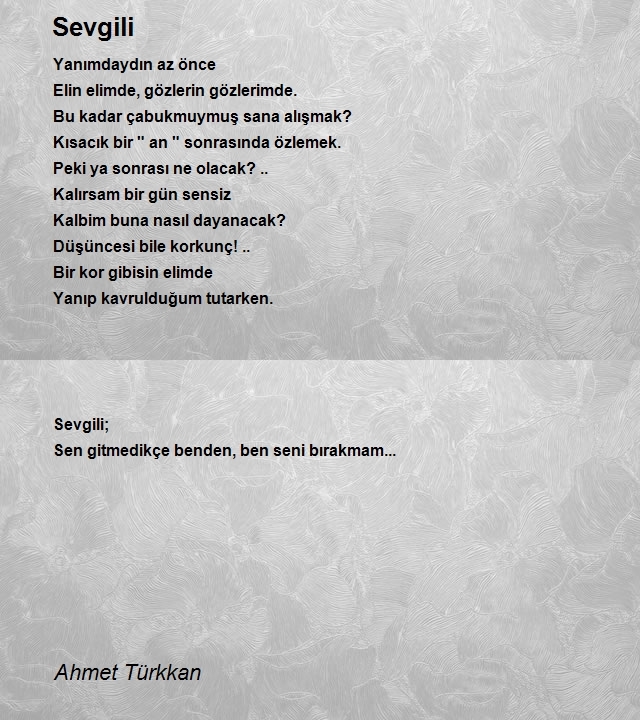 Ahmet Türkkan