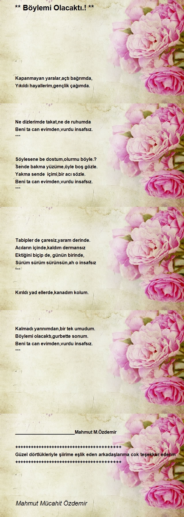 Mahmut Mücahit Özdemir