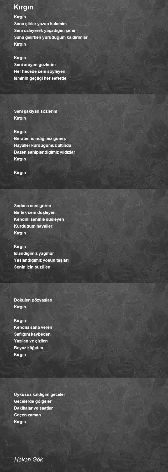 Hakan Gök