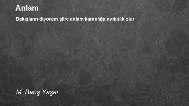 M. Barış Yaşar