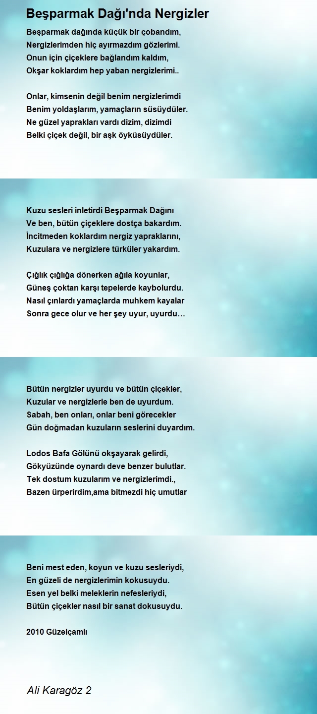 Ali Karagöz 2