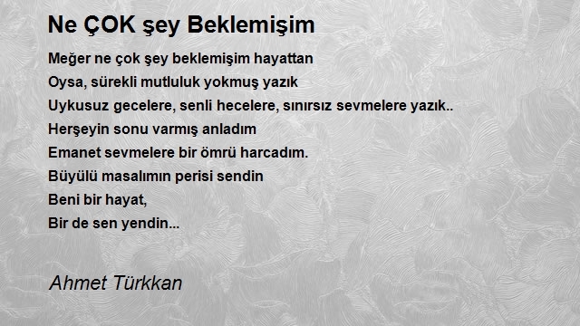 Ahmet Türkkan