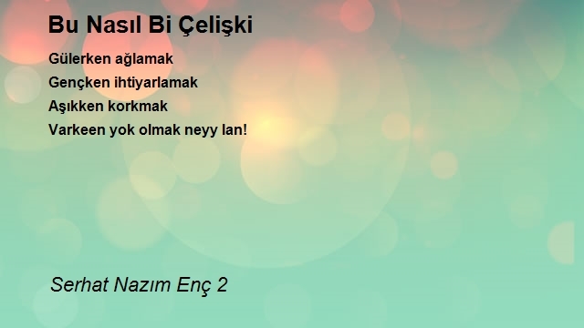 Serhat Nazım Enç 2