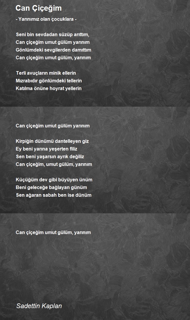 Sadettin Kaplan