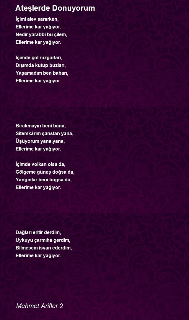Mehmet Arifler 2