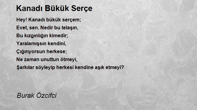 Burak Özcifci