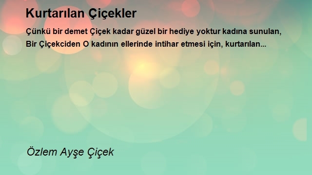Özlem Ayşe Çiçek