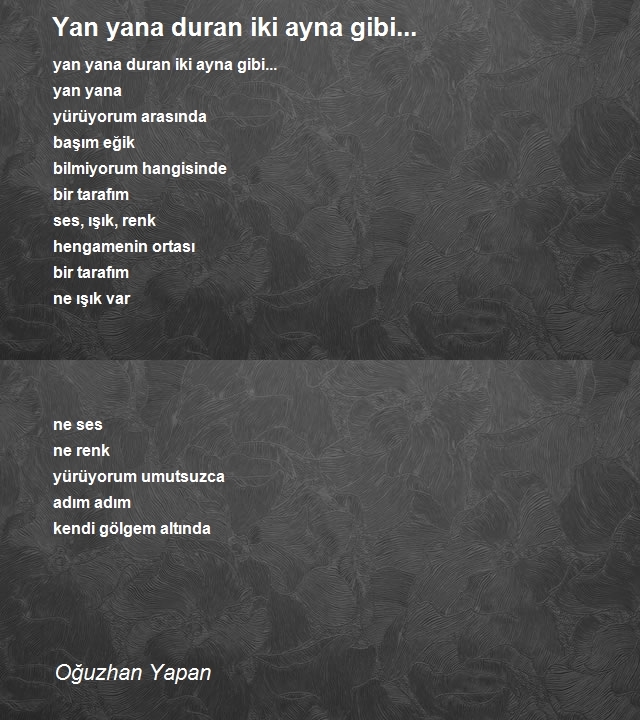 Oğuzhan Yapan