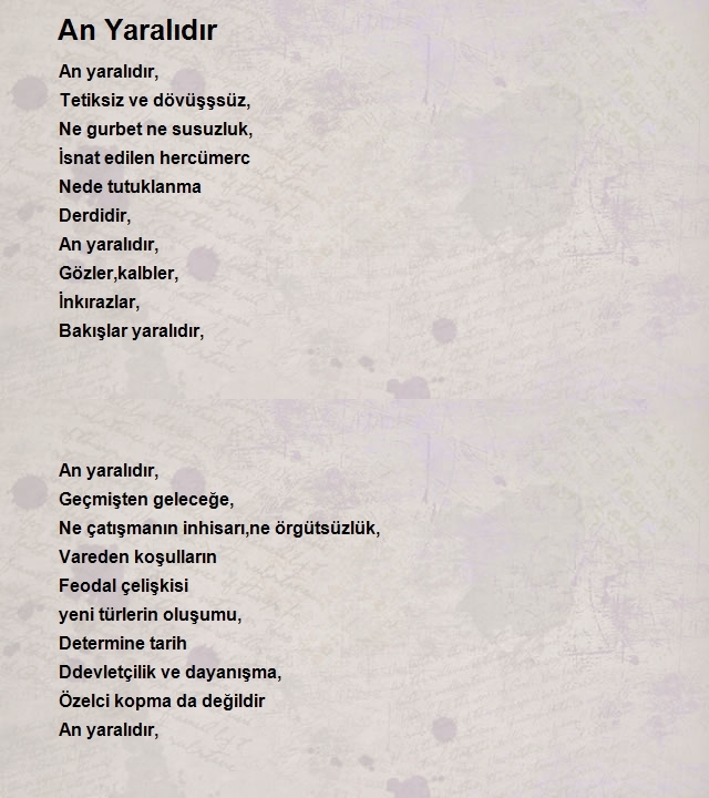 Ali Kaya 2