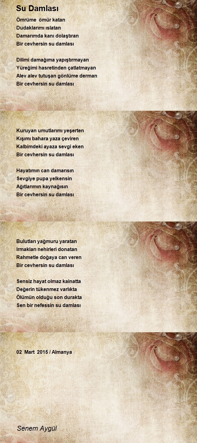 Senem Aygül