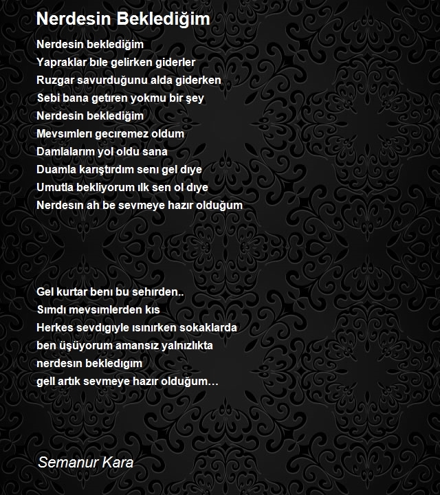 Semanur Kara