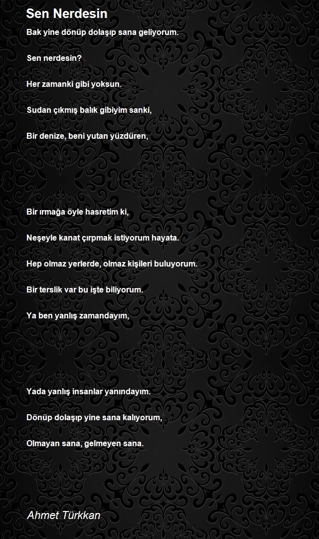 Ahmet Türkkan