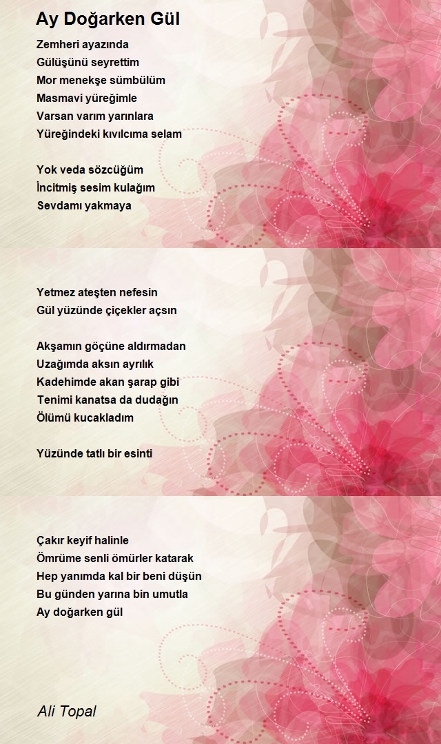 Ali Topal