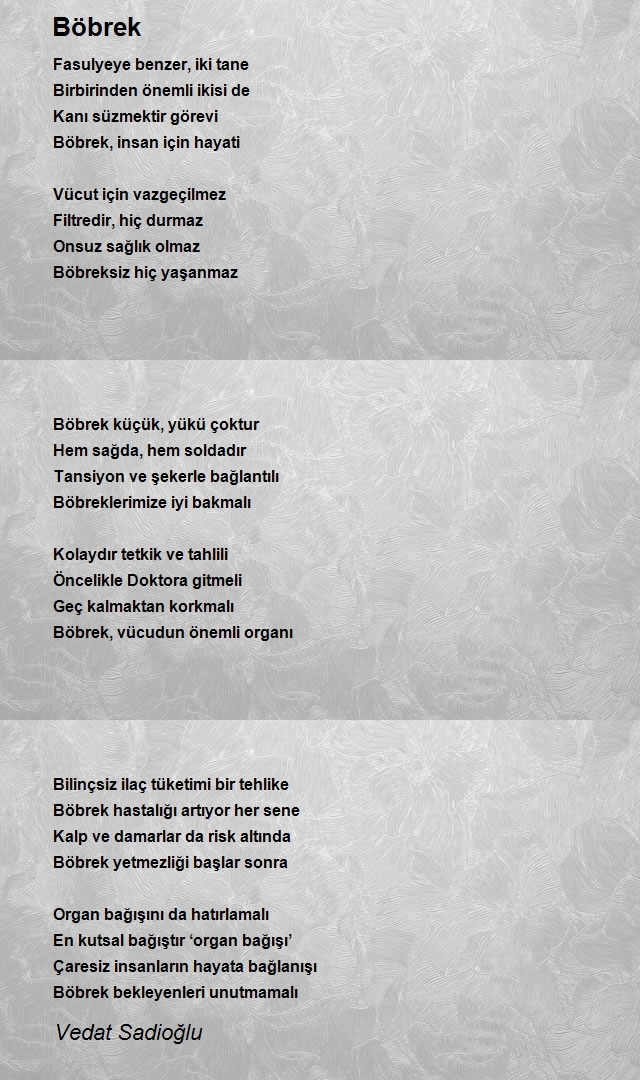 Vedat Sadioğlu