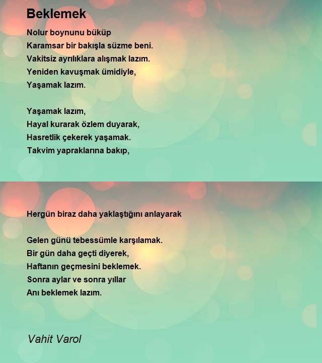 Vahit Varol