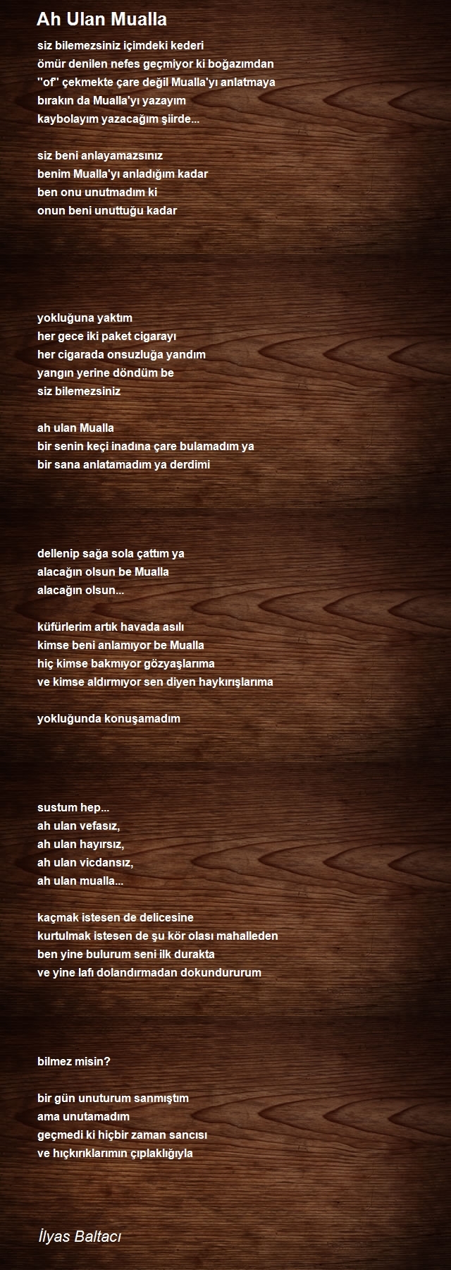 İlyas Baltacı