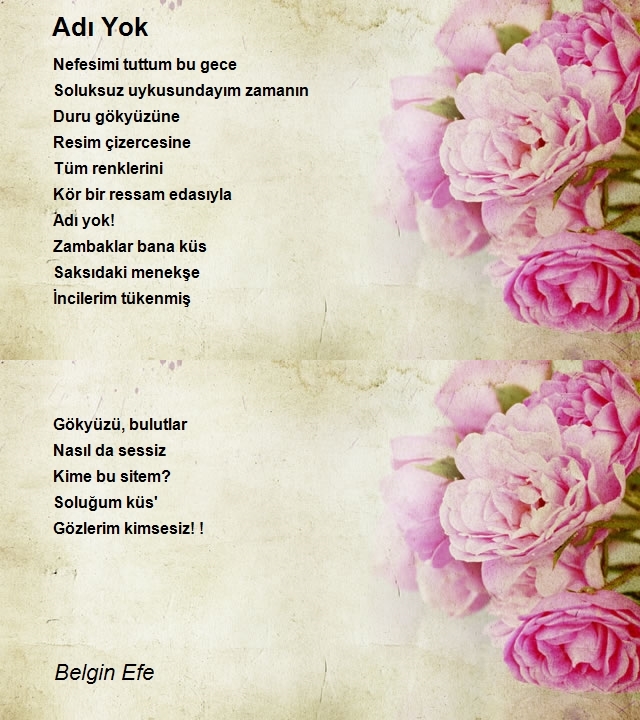 Belgin Efe