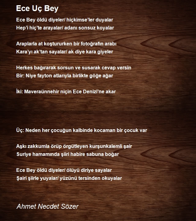 Ahmet Necdet Sözer