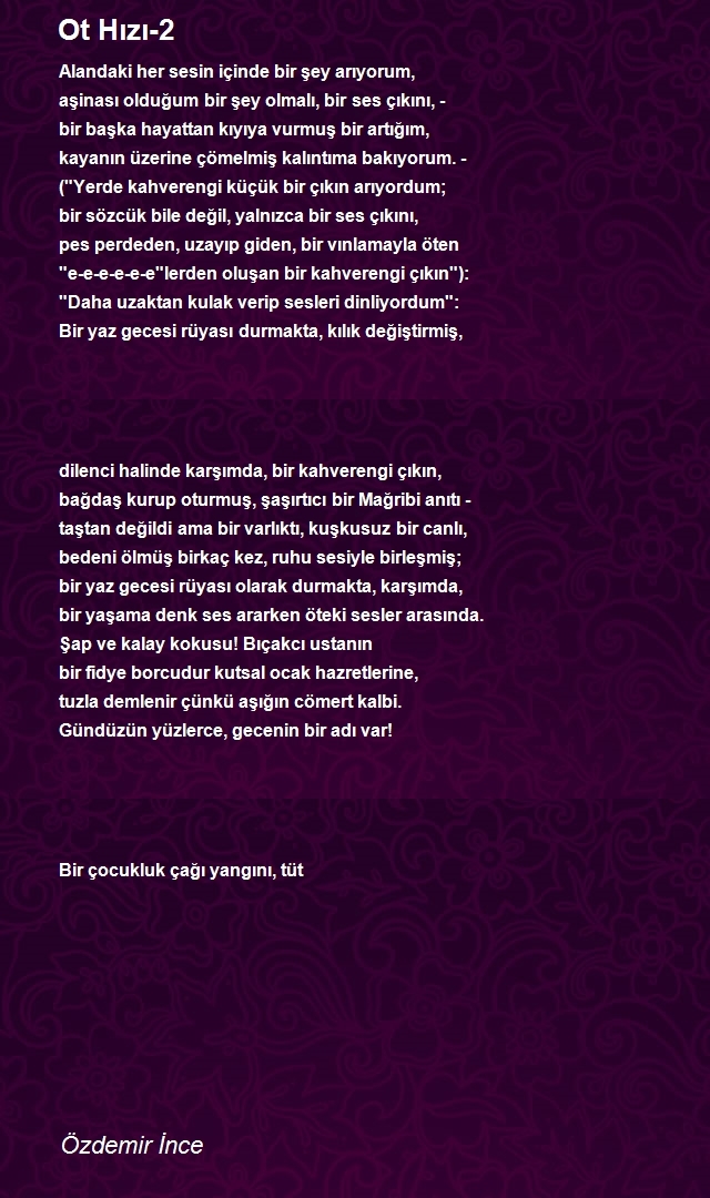 Özdemir İnce