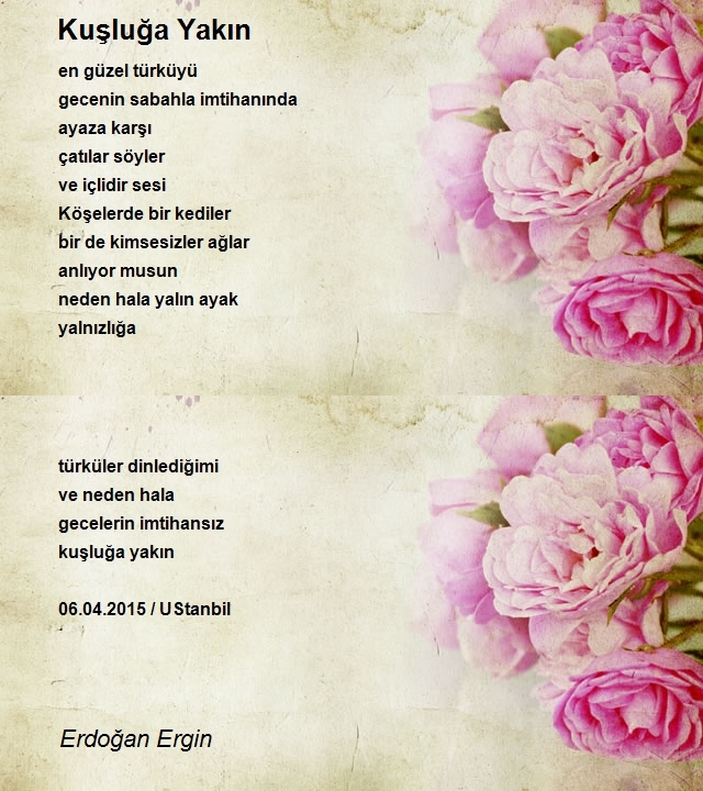 Erdoğan Ergin