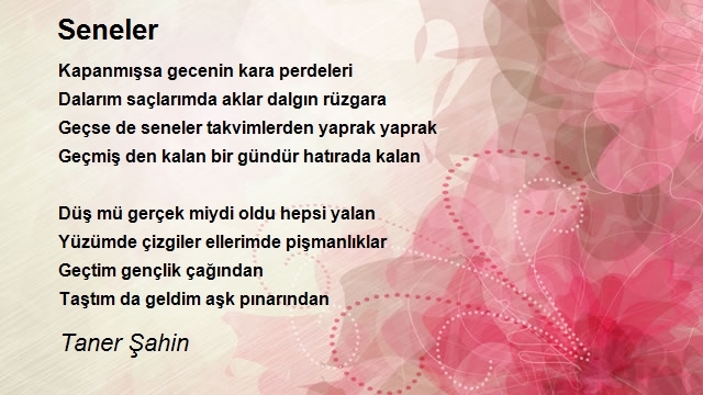 Taner Şahin