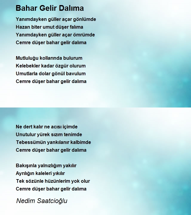 Nedim Saatcioğlu