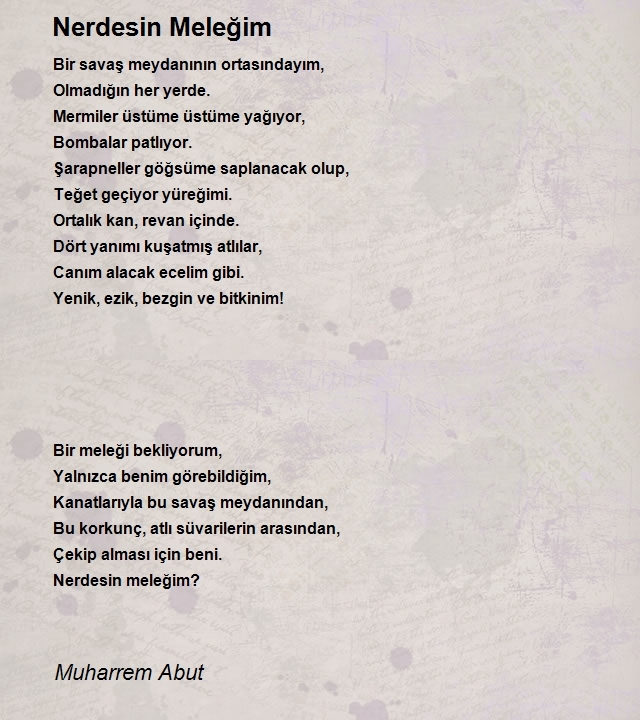Muharrem Abut