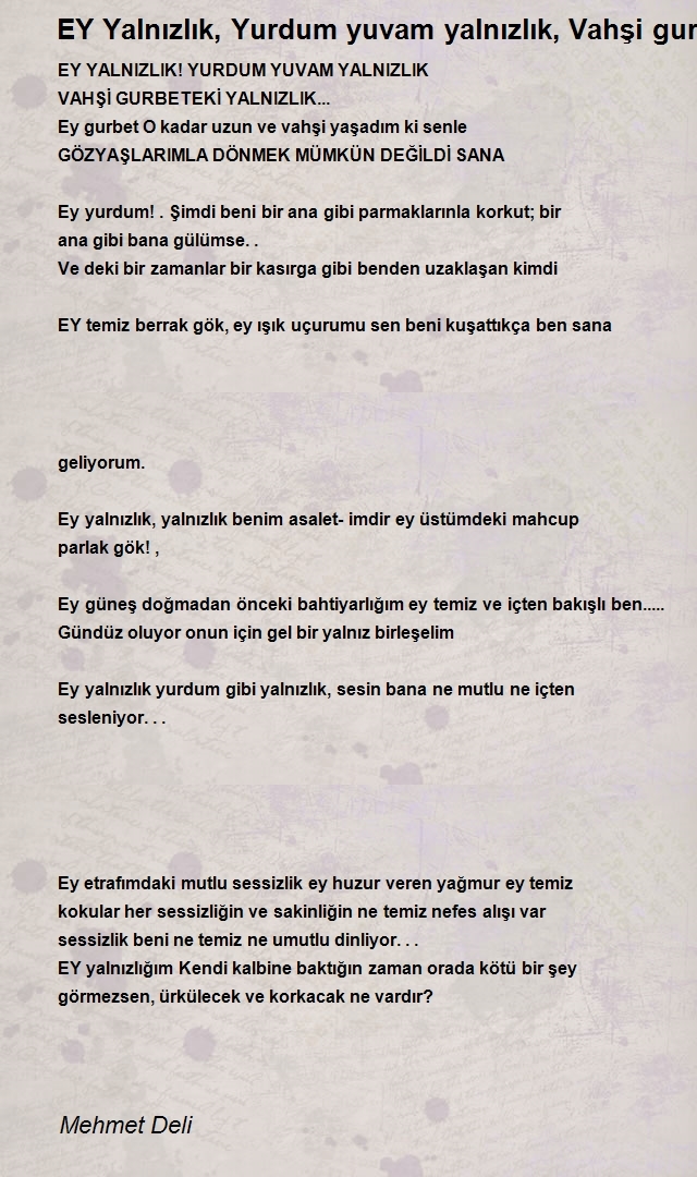 Mehmet Deli