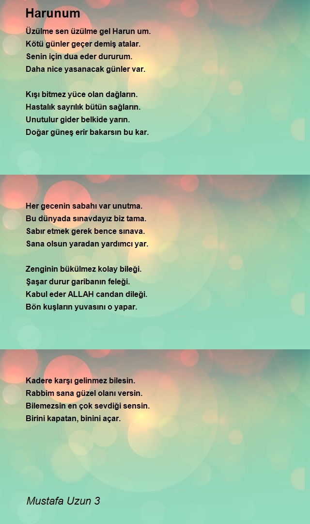 Mustafa Uzun 3