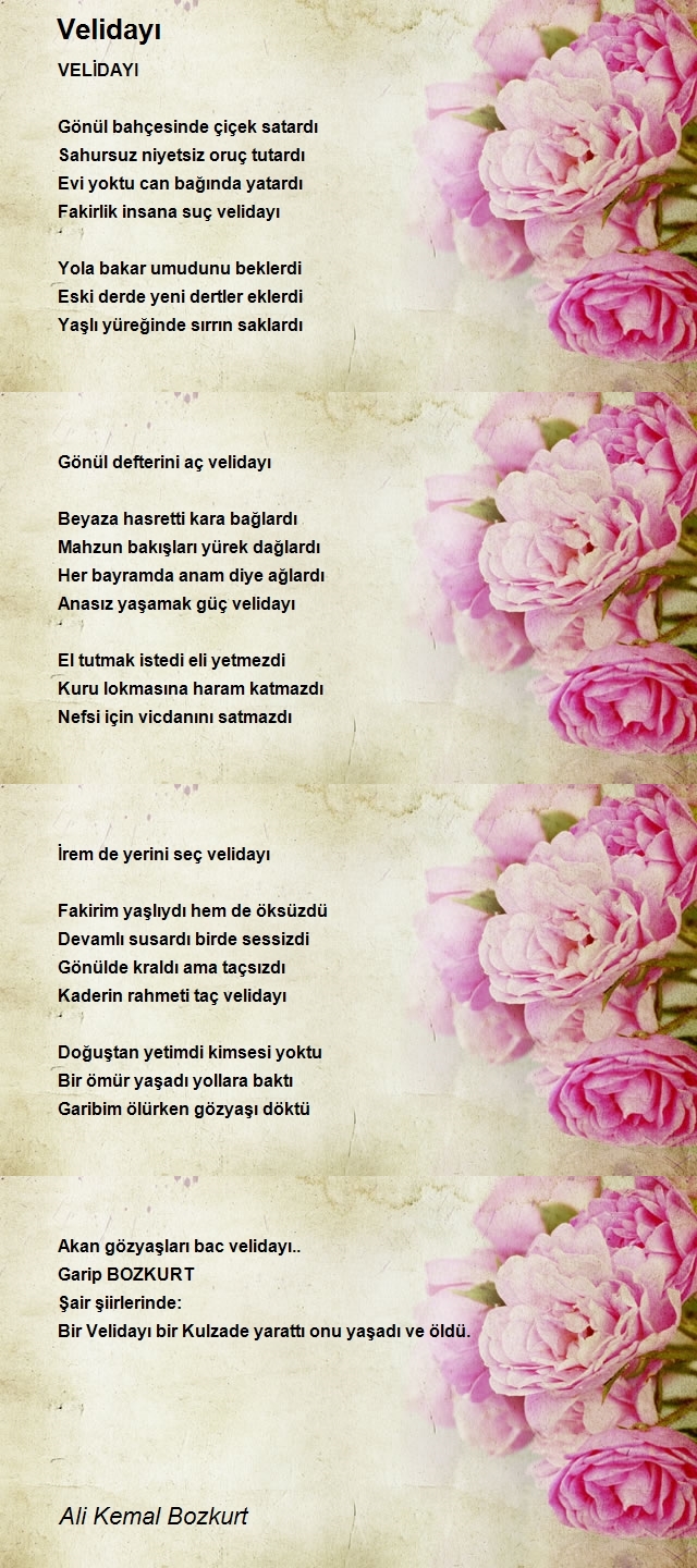 Ali Kemal Bozkurt