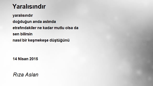 Rıza Aslan