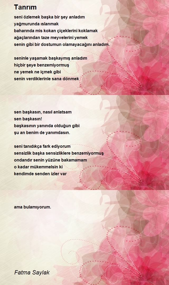 Fatma Saylak