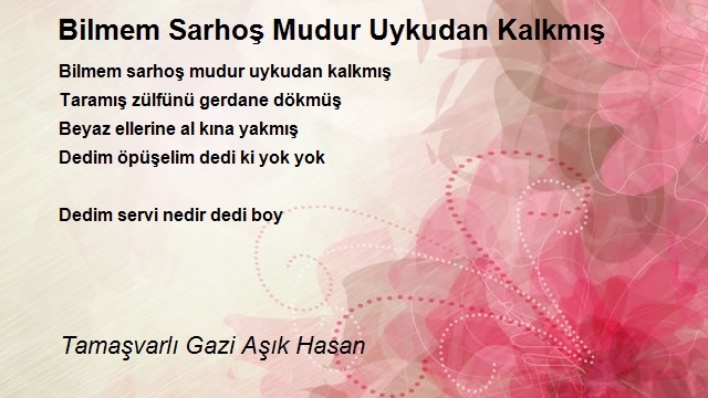 Tamaşvarlı Gazi Aşık Hasan