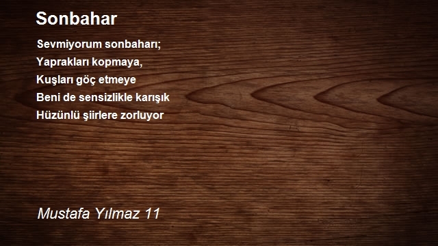 Mustafa Yılmaz 11