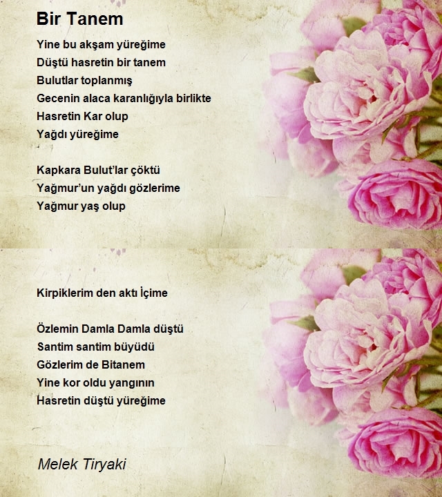 Kalbi Baharım