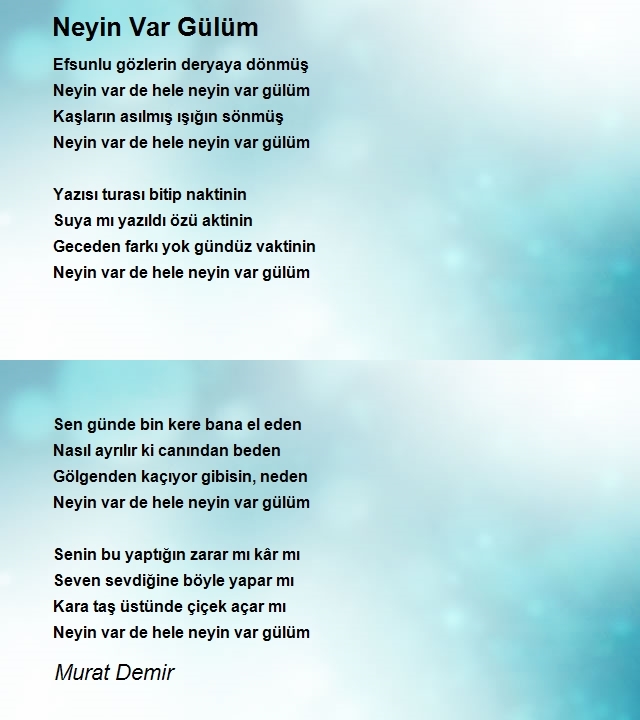 Murat Demir