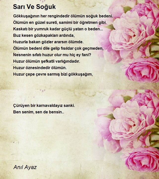 Anıl Ayaz