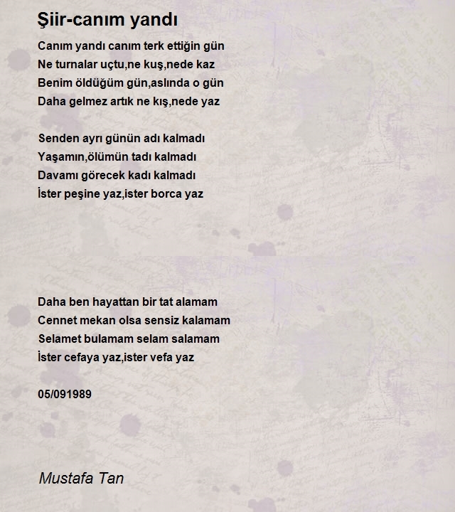 Mustafa Tan