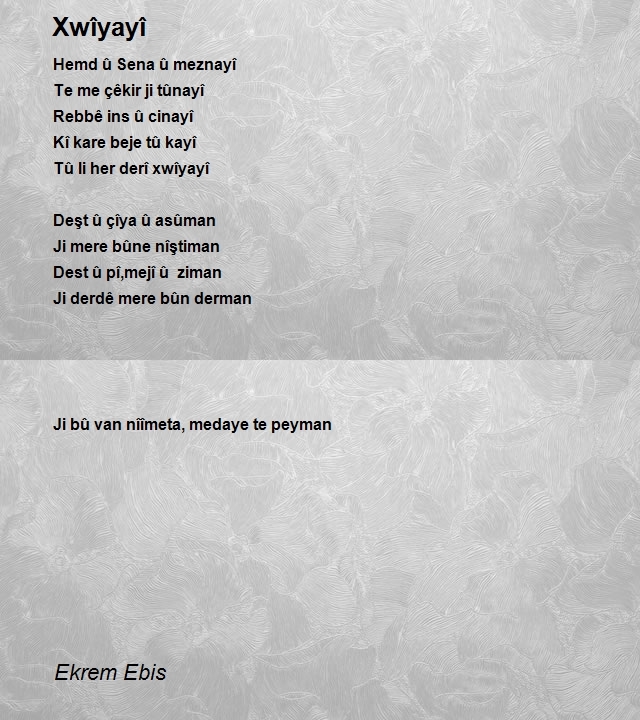 Ekrem Ebis