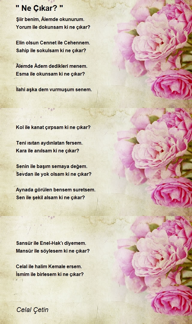 Celal Çetin