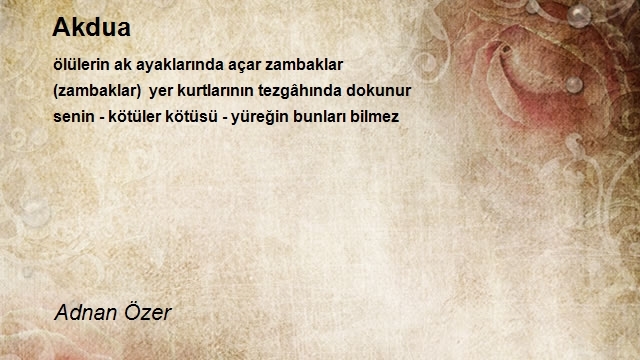 Adnan Özer