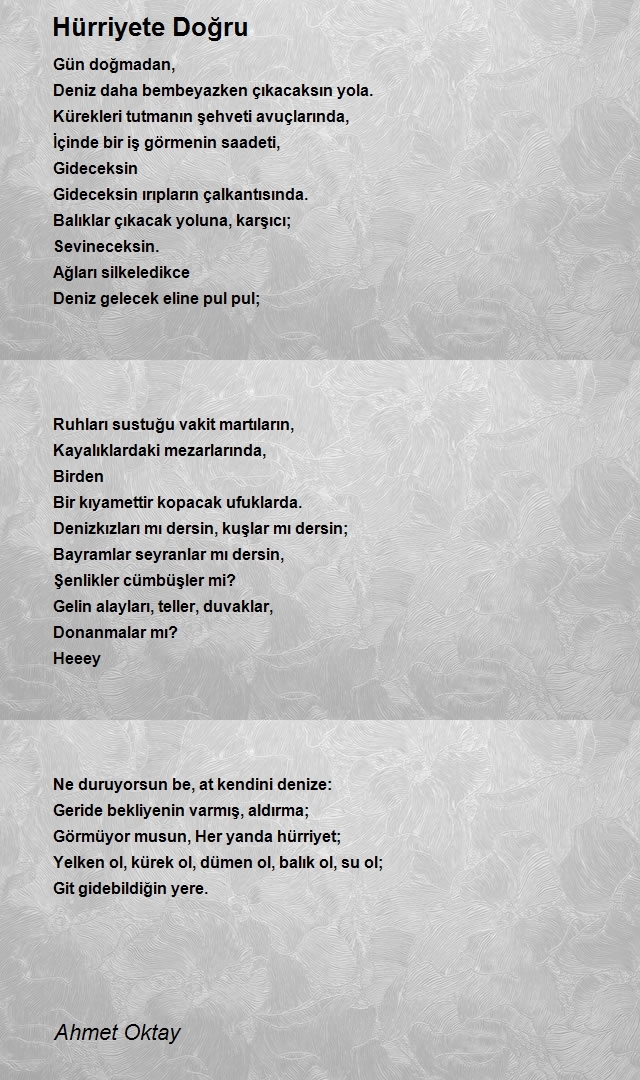 Ahmet Oktay